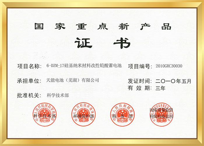 2010年国度重点新产物（硅基纳米电池）